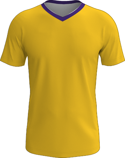 Customized Lakers Themed V-Neck Jersey
